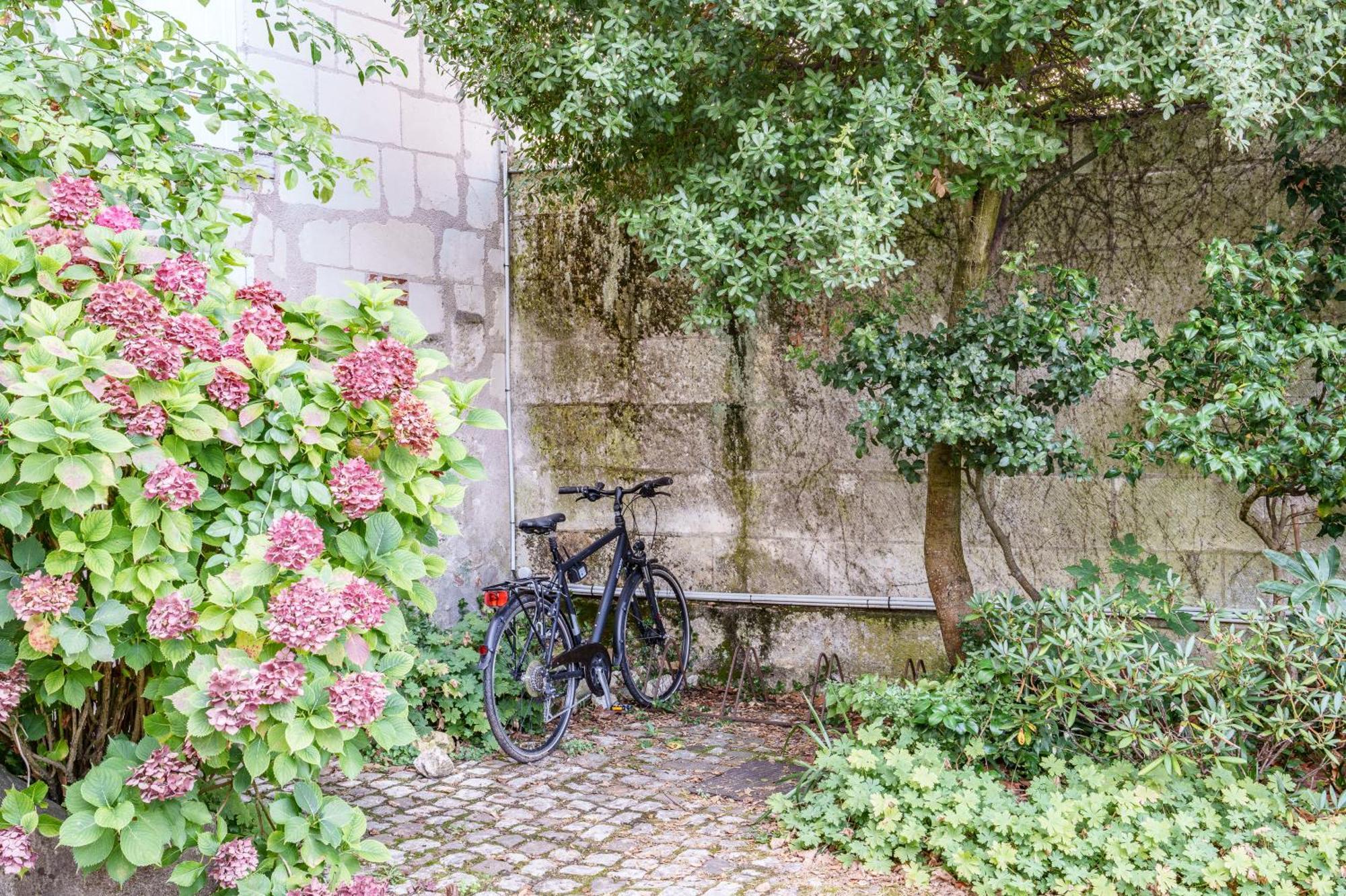 Appartement Raffine Vue Cathedrale, Jardin, Wifi Tours Eksteriør billede